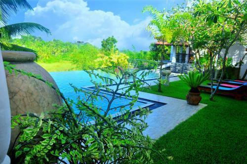 Bed & Breakfast Jungle Heart Cabanas