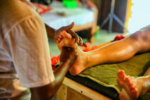 Albergue Cinnamon Grove Ayurveda Home