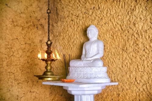 Albergue Cinnamon Grove Ayurveda Home