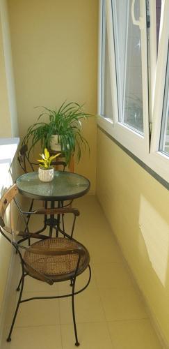 Apartamento Sve?i? Apgyvendinimas