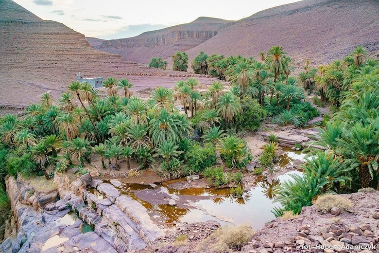 Ecolodge Ouednoujoum