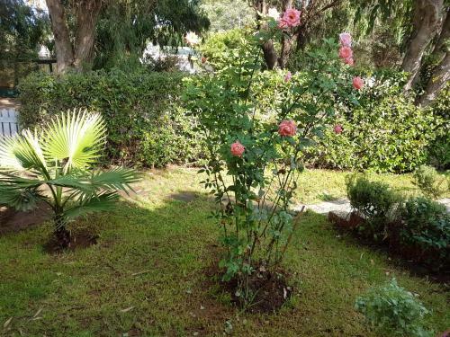 Location Vacances Casablanca Tamaris