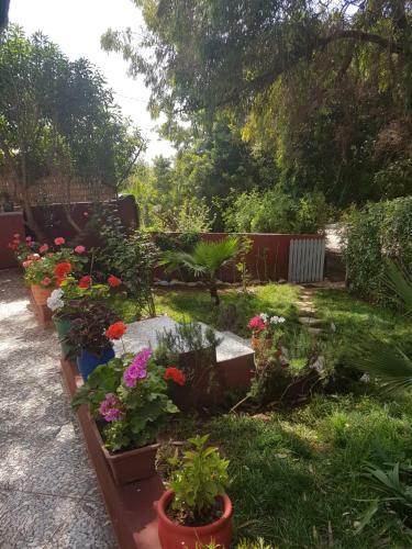 Location Vacances Casablanca Tamaris