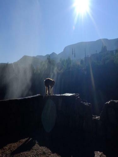 Riad Cascades D'ouzoud
