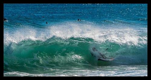Apartment Surf Mini