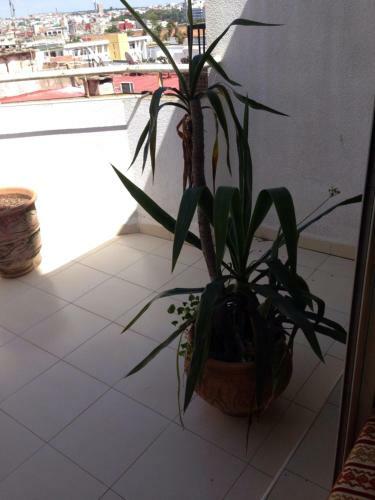Apartamento Rose House In City Centre