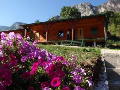 Hostal Rafting Camp Green Tara