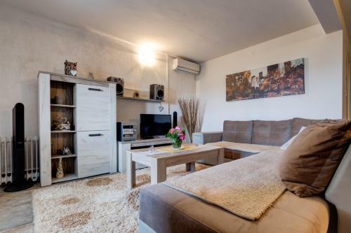 Apartment Gorazda