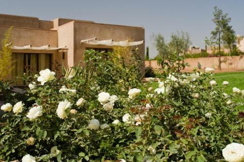 Villa Rose Sultan & Spa