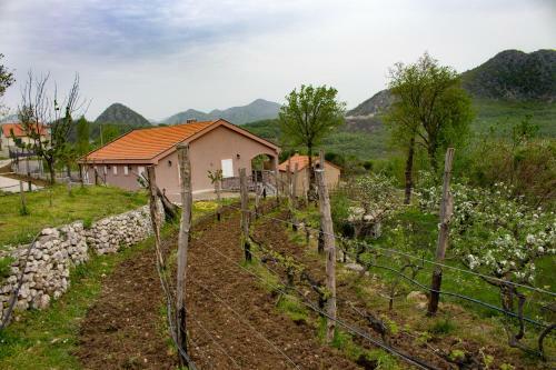 Hostal Guesthouse Djukanovic