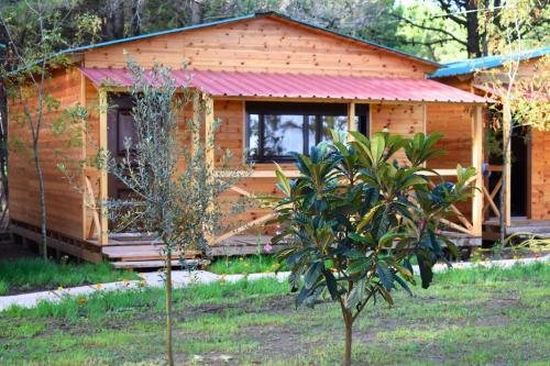 Saranda Beach Bungalow