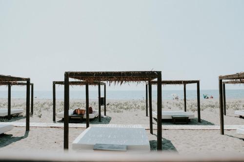 Obsession