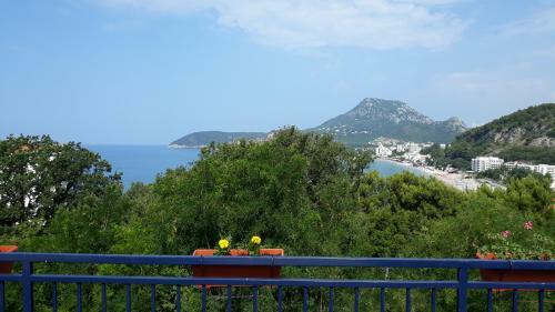 Apartments Villa Tiodorovic