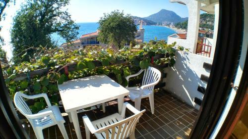Hostal Guesthouse Obala