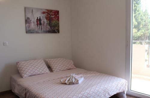 Apartmani Pogled