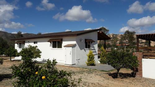 Azahares Del Pedregal