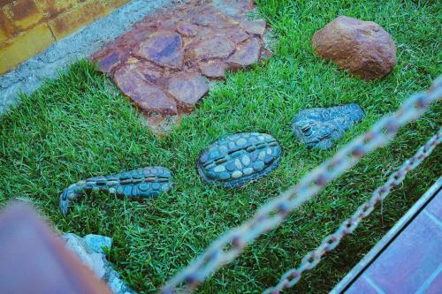 Agroturismo Ecl�ctico Guadalupe