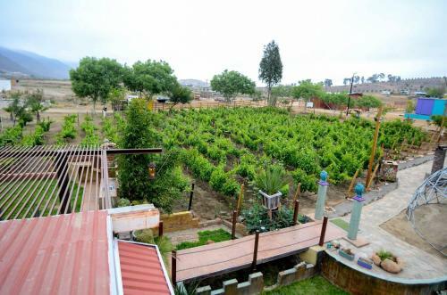 Agroturismo Ecl�ctico Guadalupe