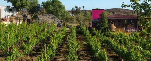 Agroturismo Ecl�ctico Guadalupe