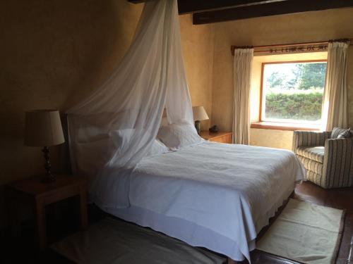 Hotel Hacienda San Andr�s