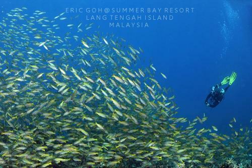 Hotel Summer Bay Lang Tengah Island Resort
