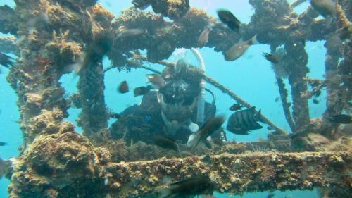 The Barat Perhentian