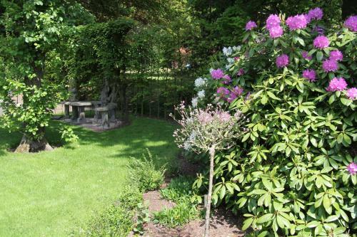 Bed & Breakfast De Oude Pastorie