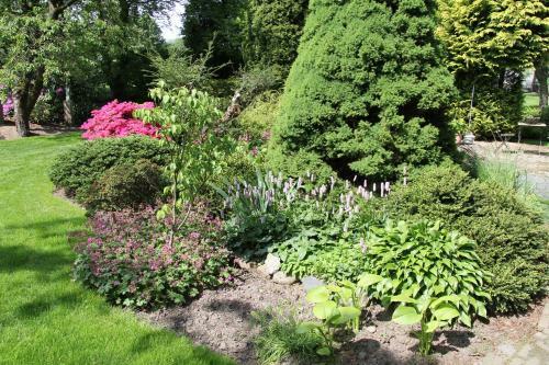 Bed & Breakfast De Oude Pastorie