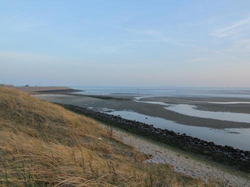 Luxury Villa In Texel With Private Garden