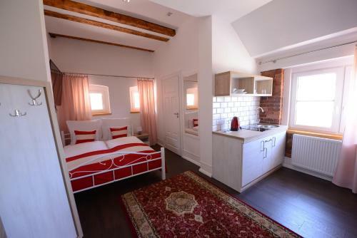 Hotel Willa Starowiejska