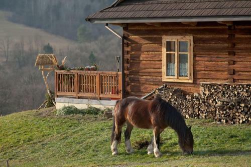 Agroturismo Dom Go?cinny Szpilkowo