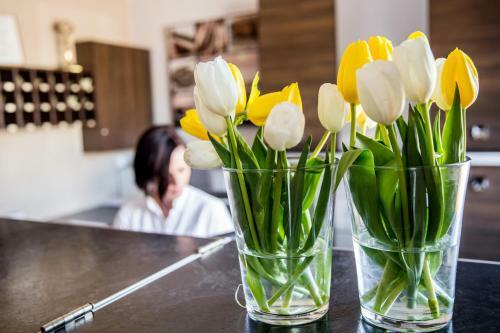 Bed & Breakfast Hotel Walewscy