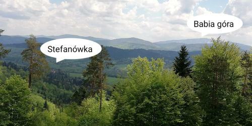 Chata Drewniana Stefan�wka