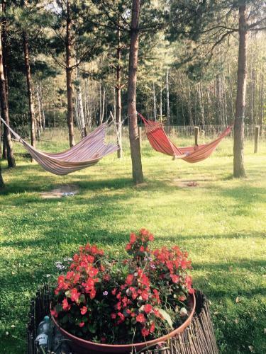 Lodge Domek Przy Wilczym Szlaku
