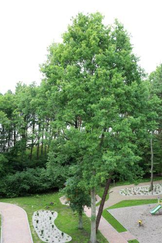 Apartamentowiec Dwie Sosny
