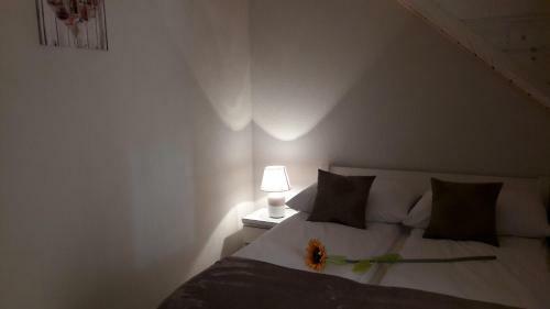 Apartamento Domki Luksusowe Marina