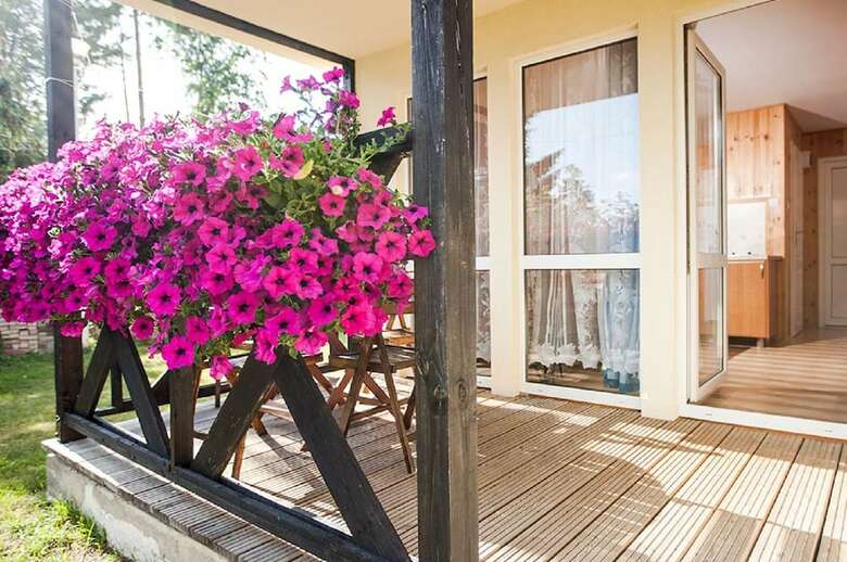 Hotel Domki Amber