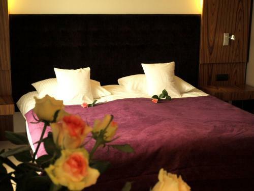 Hotel Niepo?omice