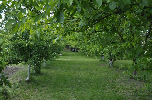 Agroturystyka Lulkowo