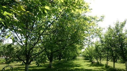 Agroturystyka Lulkowo