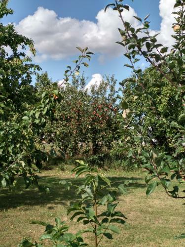 Agroturystyka Lulkowo