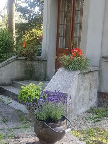 Hostal Willa Marysin