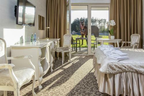 Hotel Kiston