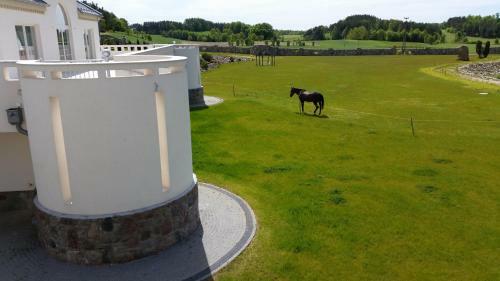 Hotel Kiston