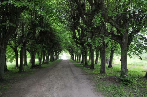 Hostal Zesp�? Pa?acowo-parkowy W Ostromecku