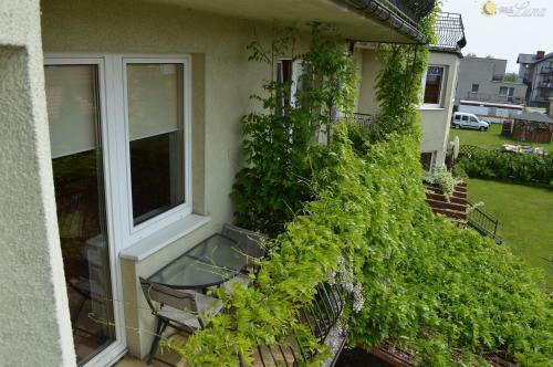 Hostal Willa Luna