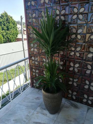 Hostal Portf�lio Residence