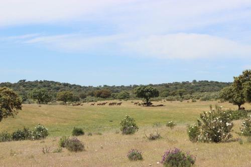 Agroturismo Monte Vale Mosteiro