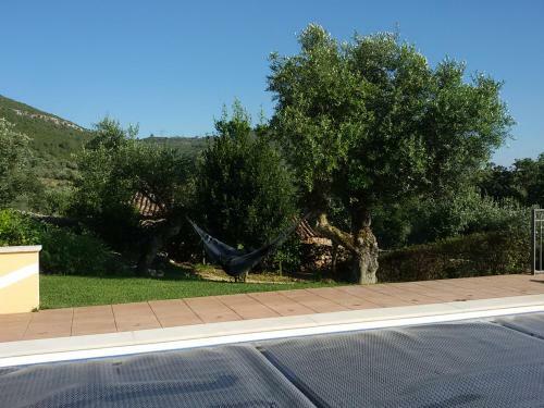 Quinta de S�o Jo�o