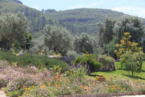 Quinta de S�o Jo�o